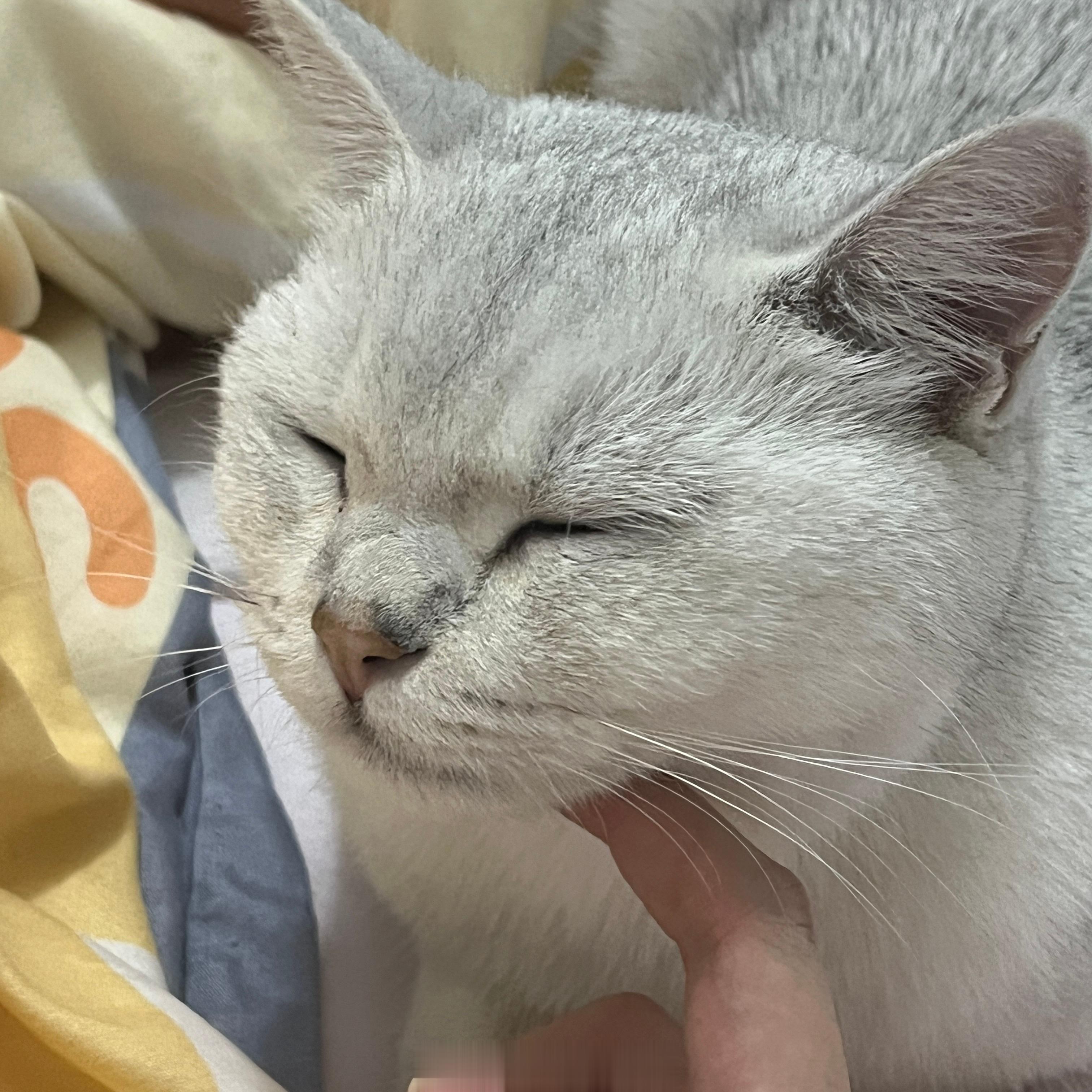 好爱我家宝贝呜呜🥹找不到喊两声就回应我，实在太可爱了[泪][泪][泪]好乖好喜