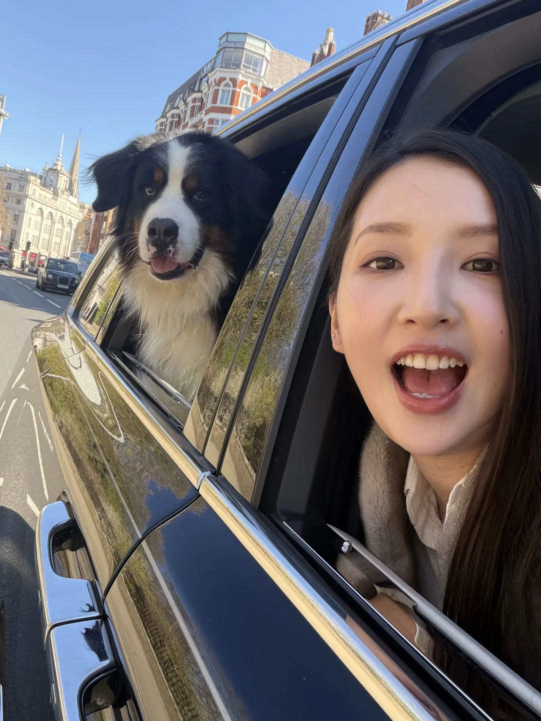 “你好 人 我是熊”
