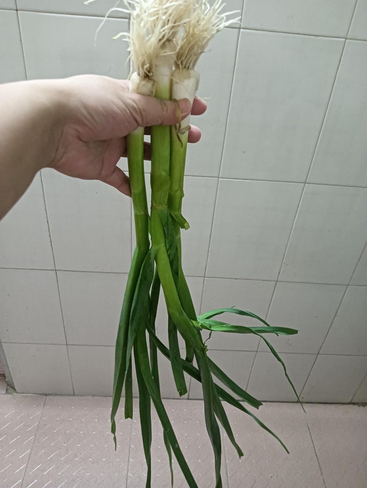 在深圳这个大城市生活，如果你不努力工作，连青菜都买不起，朋友们，你们知道这三根蒜