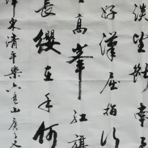 秋山红叶张宝安