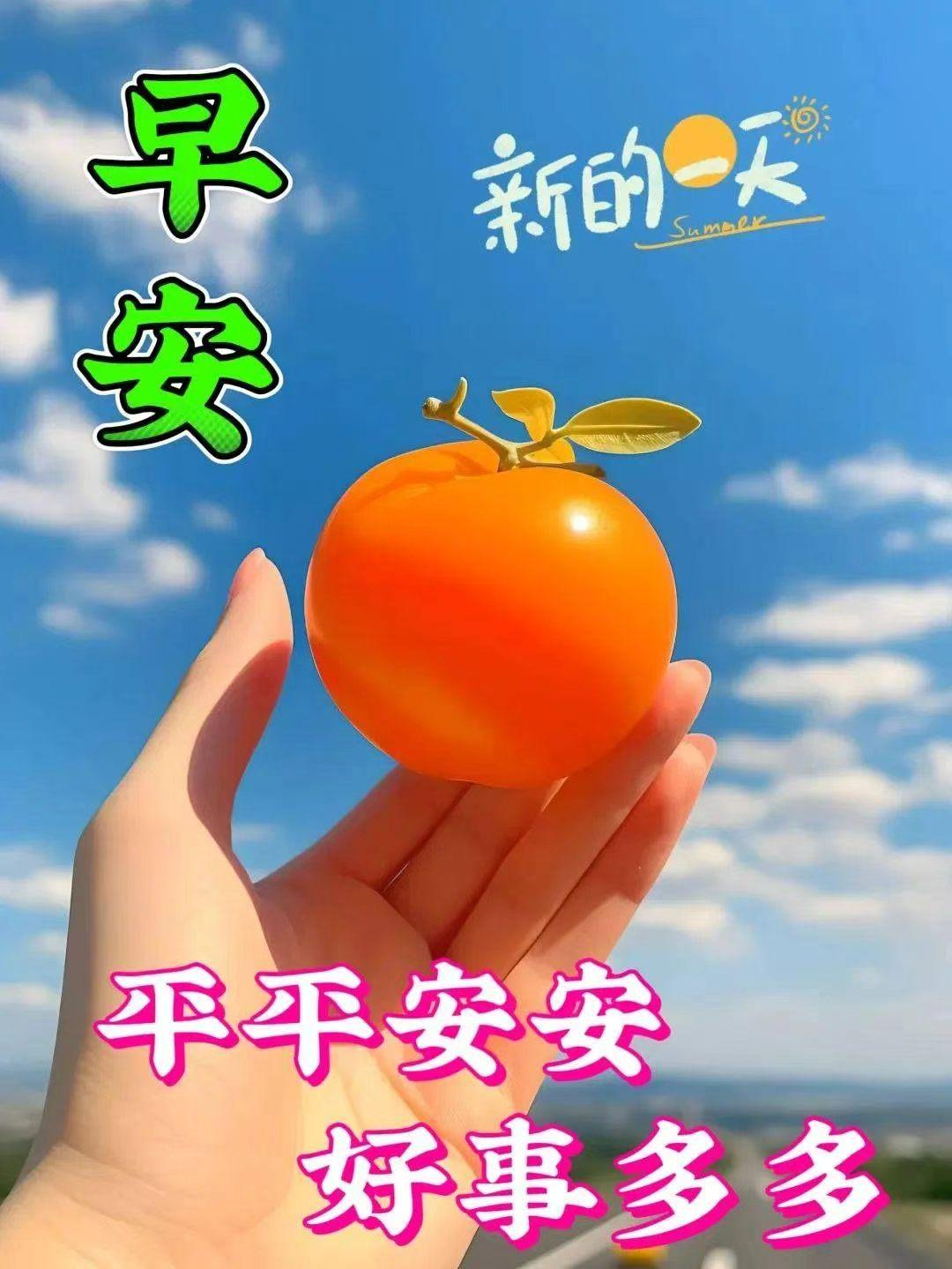问候是滋润亲情的甘露；祝福是心心相印的彩虹；每天送去我诚挚的祝福；愿快乐相伴，