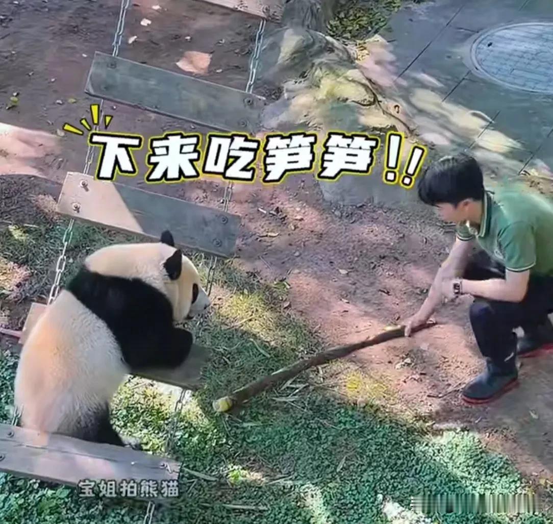 小月亮再精灵也有判断失误的时候，毕竟还是个一岁不到的小孩子，总有上当的时候！
 