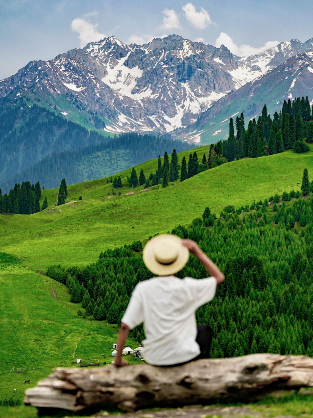 不用去国外，新疆这❻个地方 夏天美绝了～🌳