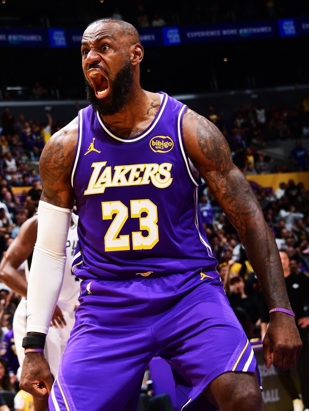 经典啊，雄狮怒吼🦁 