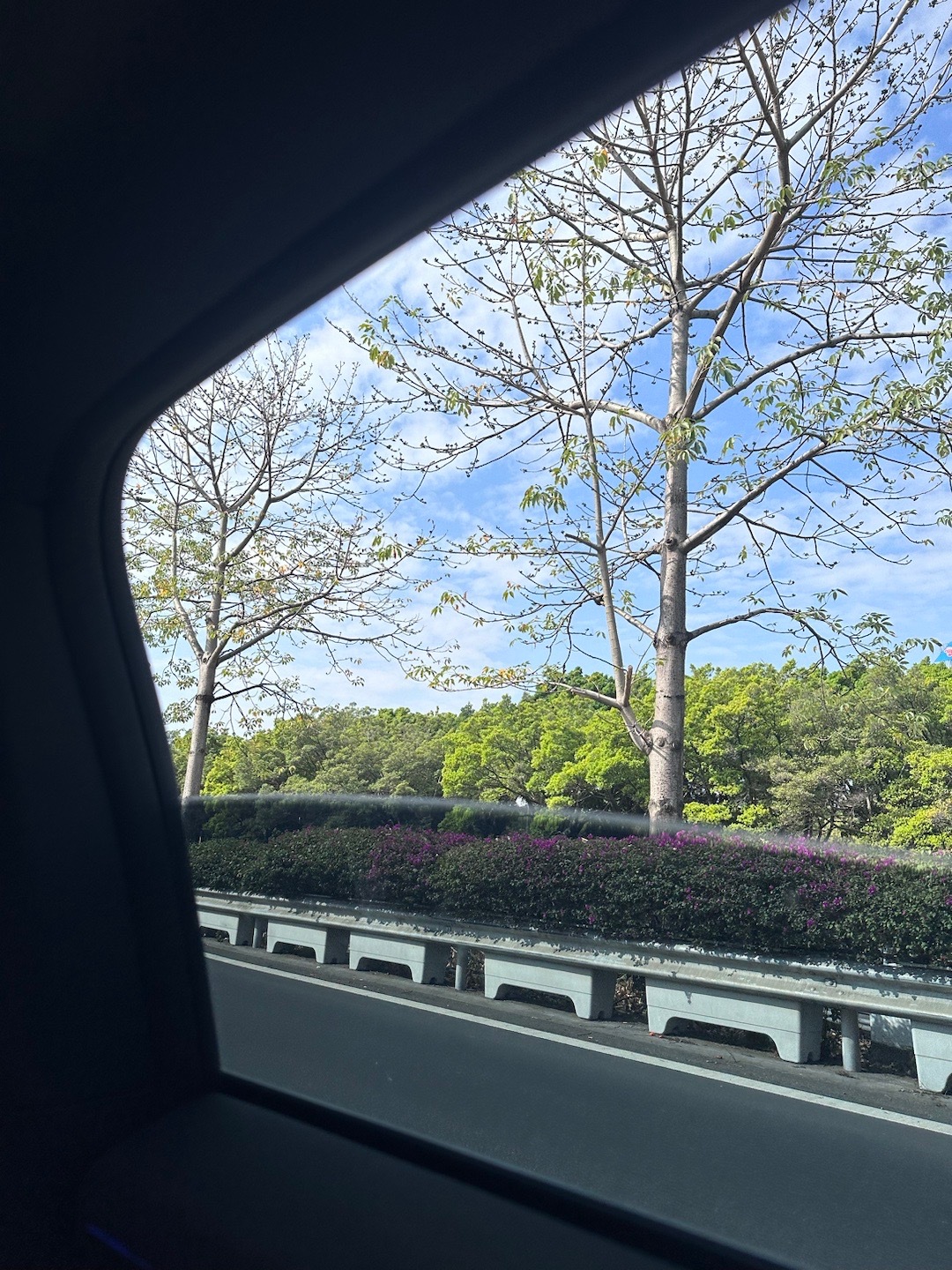 谁知爱是什么-方大同[音乐] 