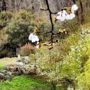 老街纵横，古巷中深宅大院荟萃，我在桥上看风景，风景流淌在画中 