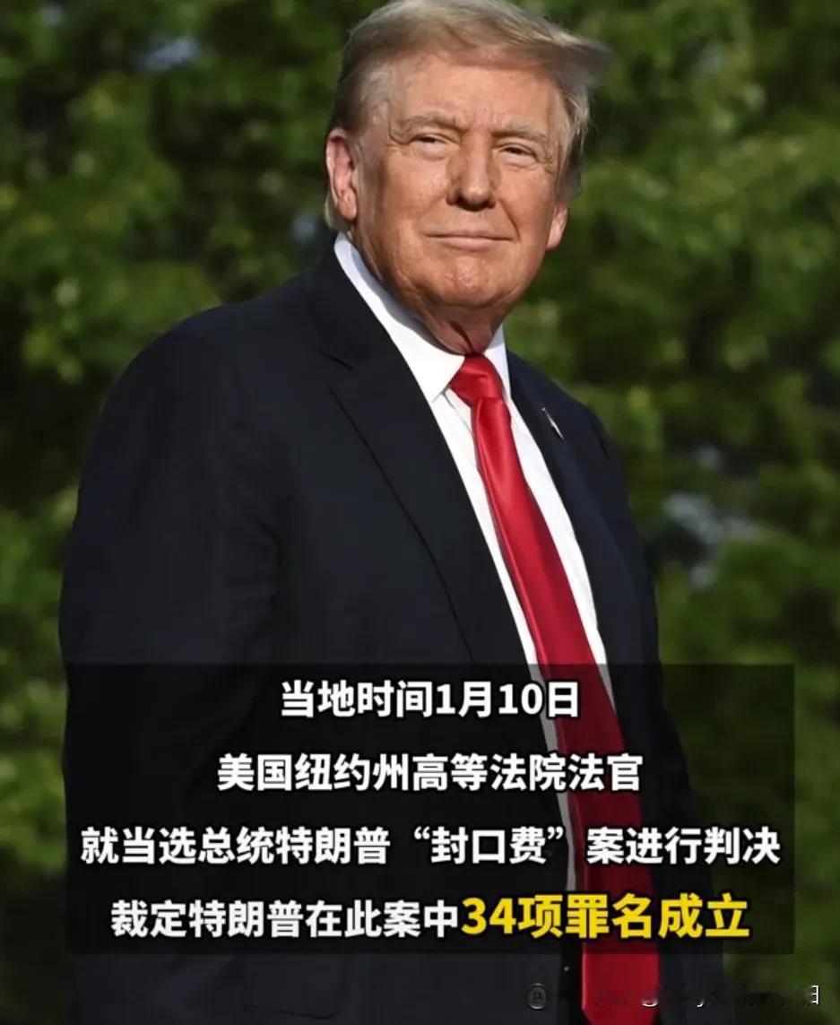 我真是搞不懂了，美国人不去查“萝莉岛丑闻”，却老是盯着特朗普向成人艳星支付“封口