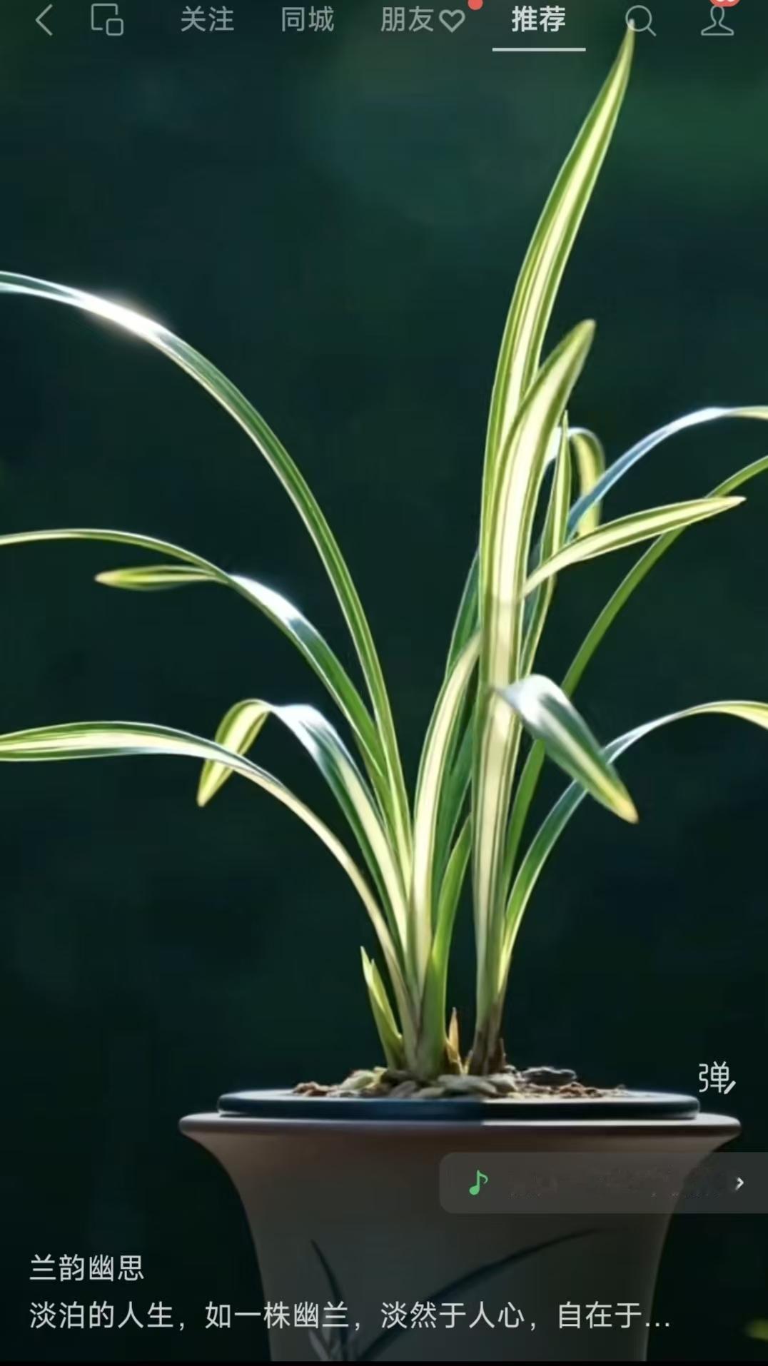 天净沙·兰韵幽思
幽兰芳自无尘，
空山独处精神。
不争春俗纷纭。
潜心修蕴，
无