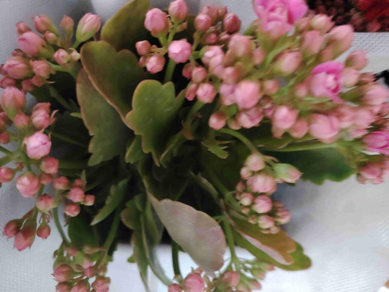 我的今日状态：😁轻松愉快
我这里的天气：🌤️多云