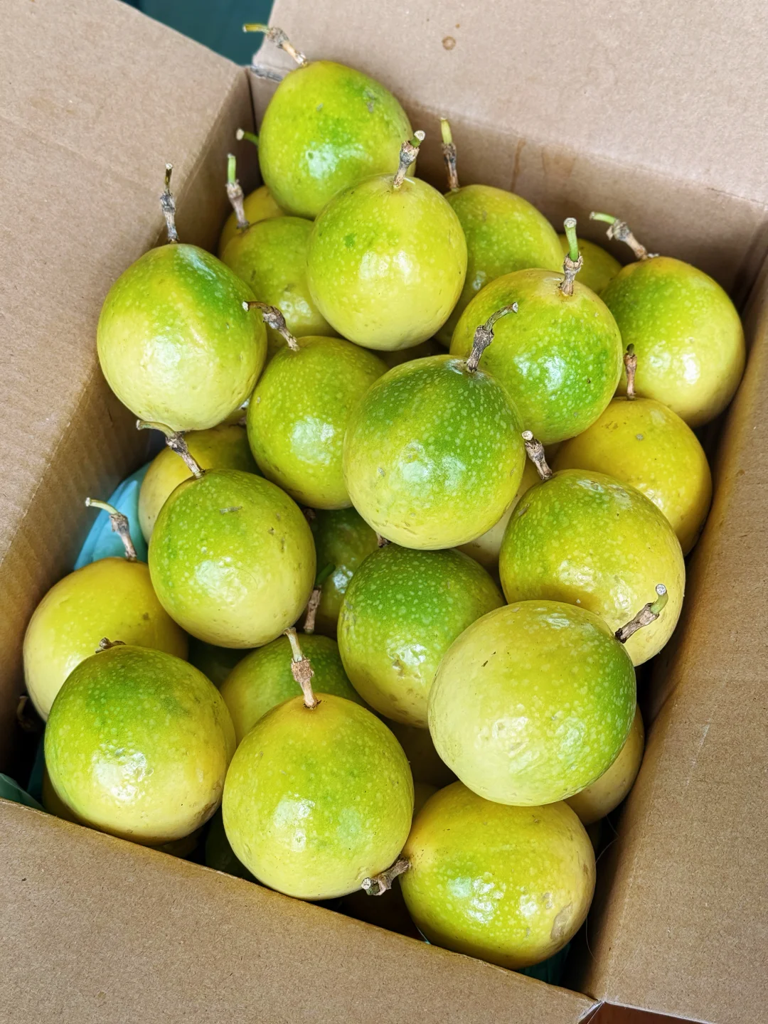 期待已久的钦蜜九号黄金百香果上架啦…