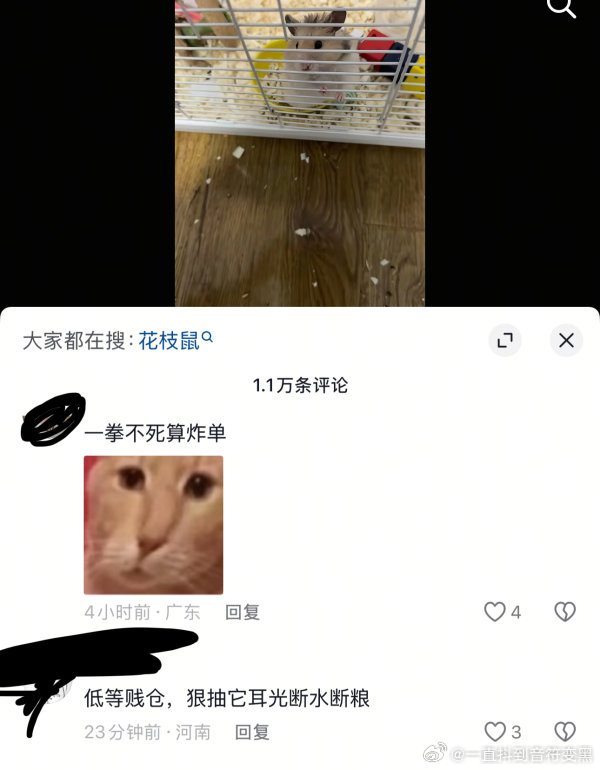 原视频是仓鼠咬了人 哎！仓鼠脑子就拇指大视力还基本没有 它连谁是它主人的意识都没