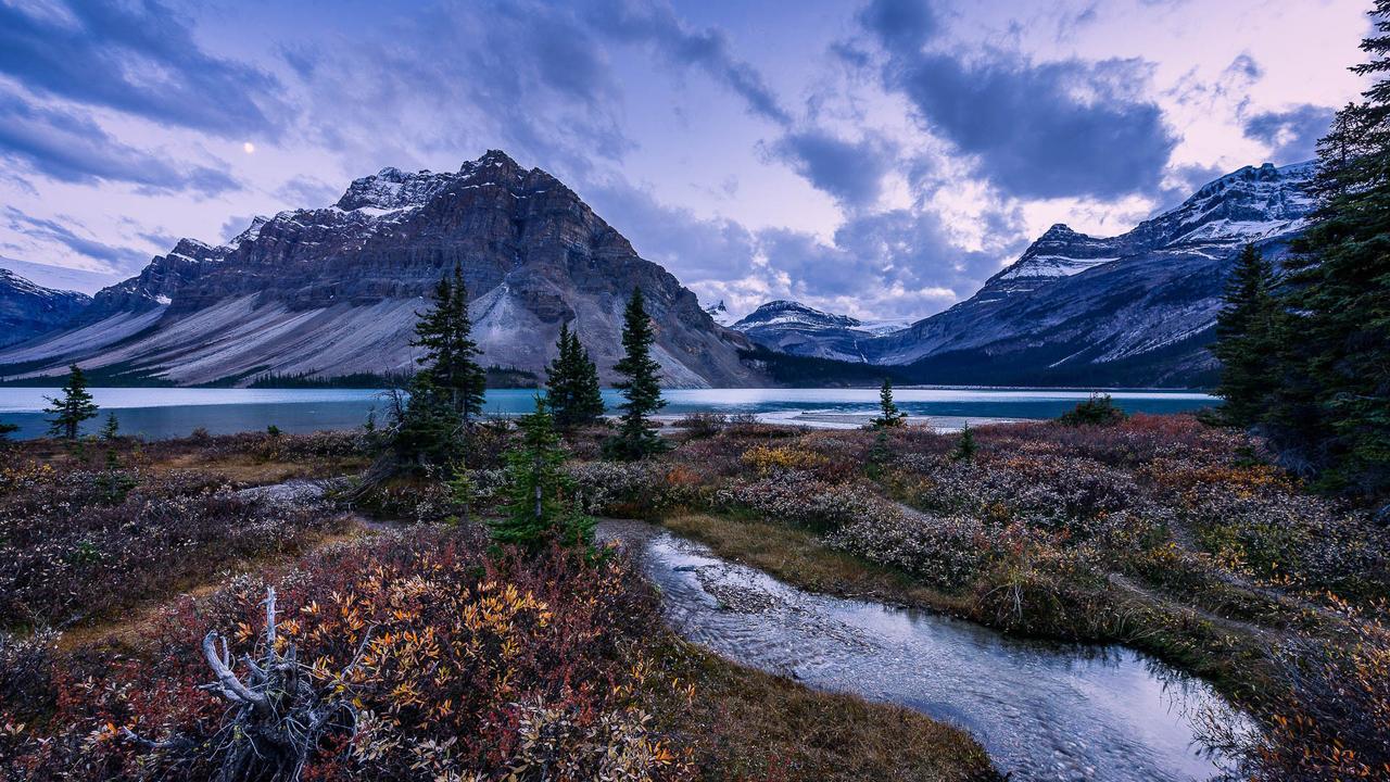 站在马路边，等待载我前行的车。等车的时间很长，但我并不孤独。一辆辆车从眼前驶过，
