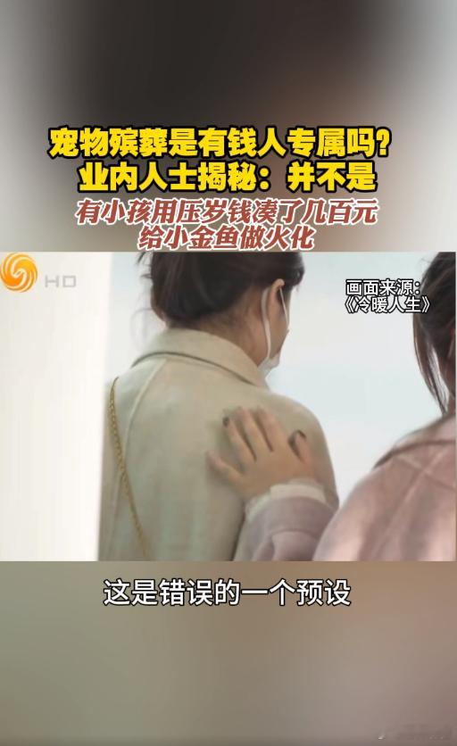 男孩用压岁钱为宠物办葬礼 被《发现新主播》中国传媒大学专场选手马浩然在现场采访宠