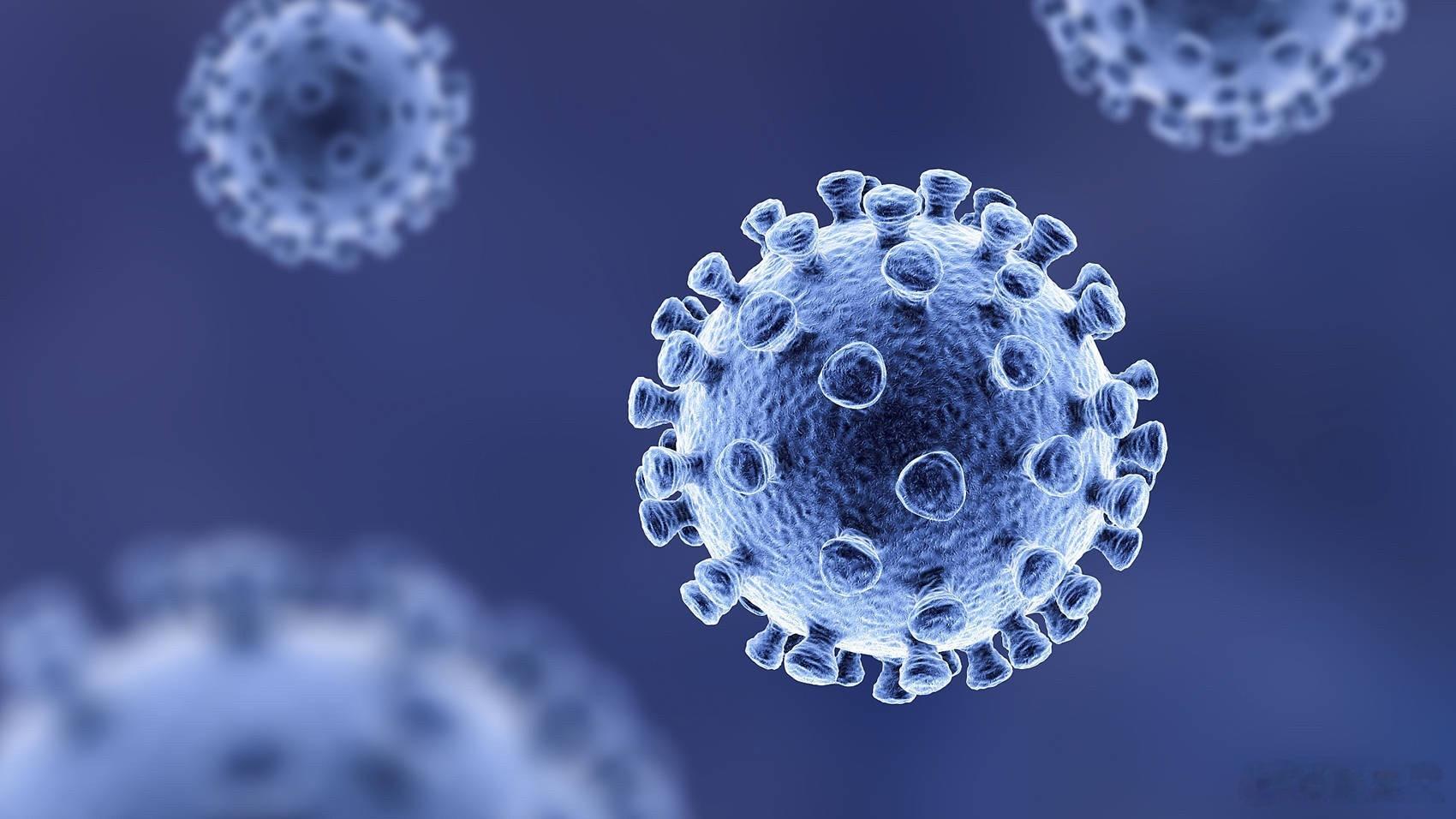 感染尼帕病毒的标志性特征 印度西孟加拉邦现尼帕病毒疫情，5例确诊，1人危重！尼帕