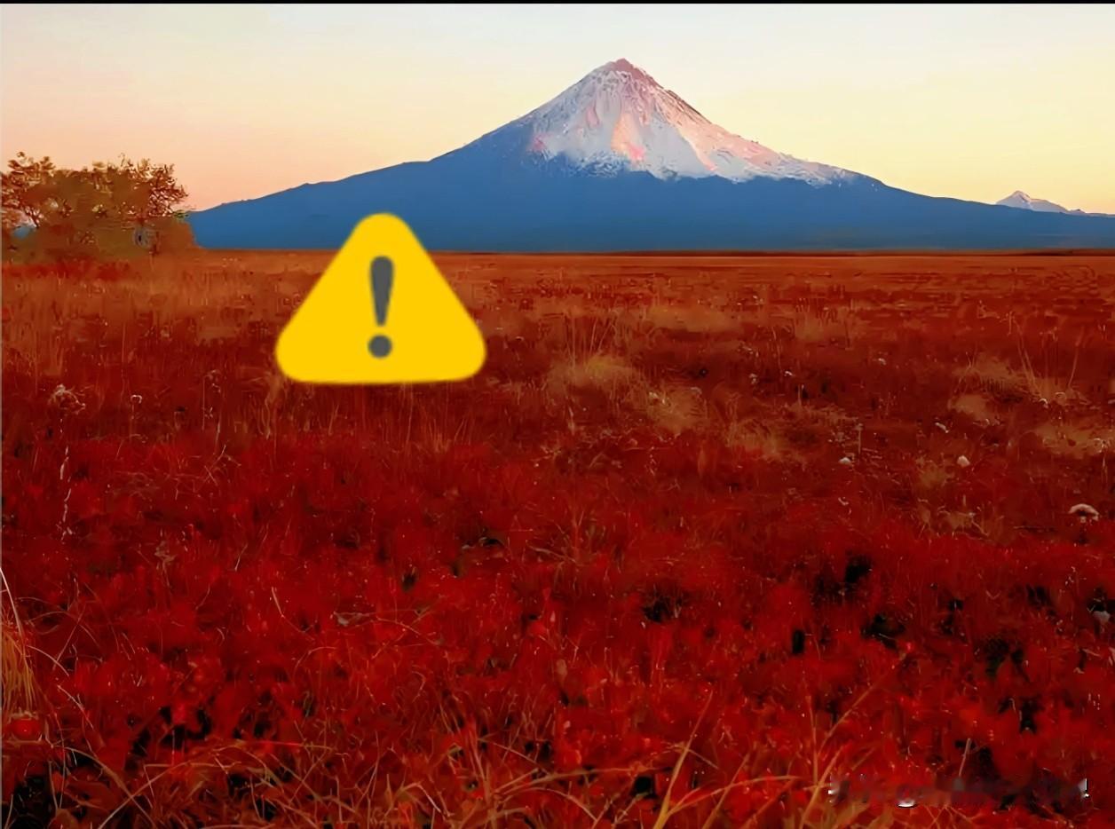 太突然了，
俄罗斯突然宣布！
10月4日，俄罗斯堪察加半岛上的克罗诺基火山突然喷