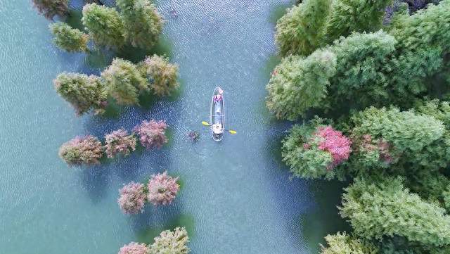 星云湖畔焰火绽放 江川国庆邀你共赴浪漫之约