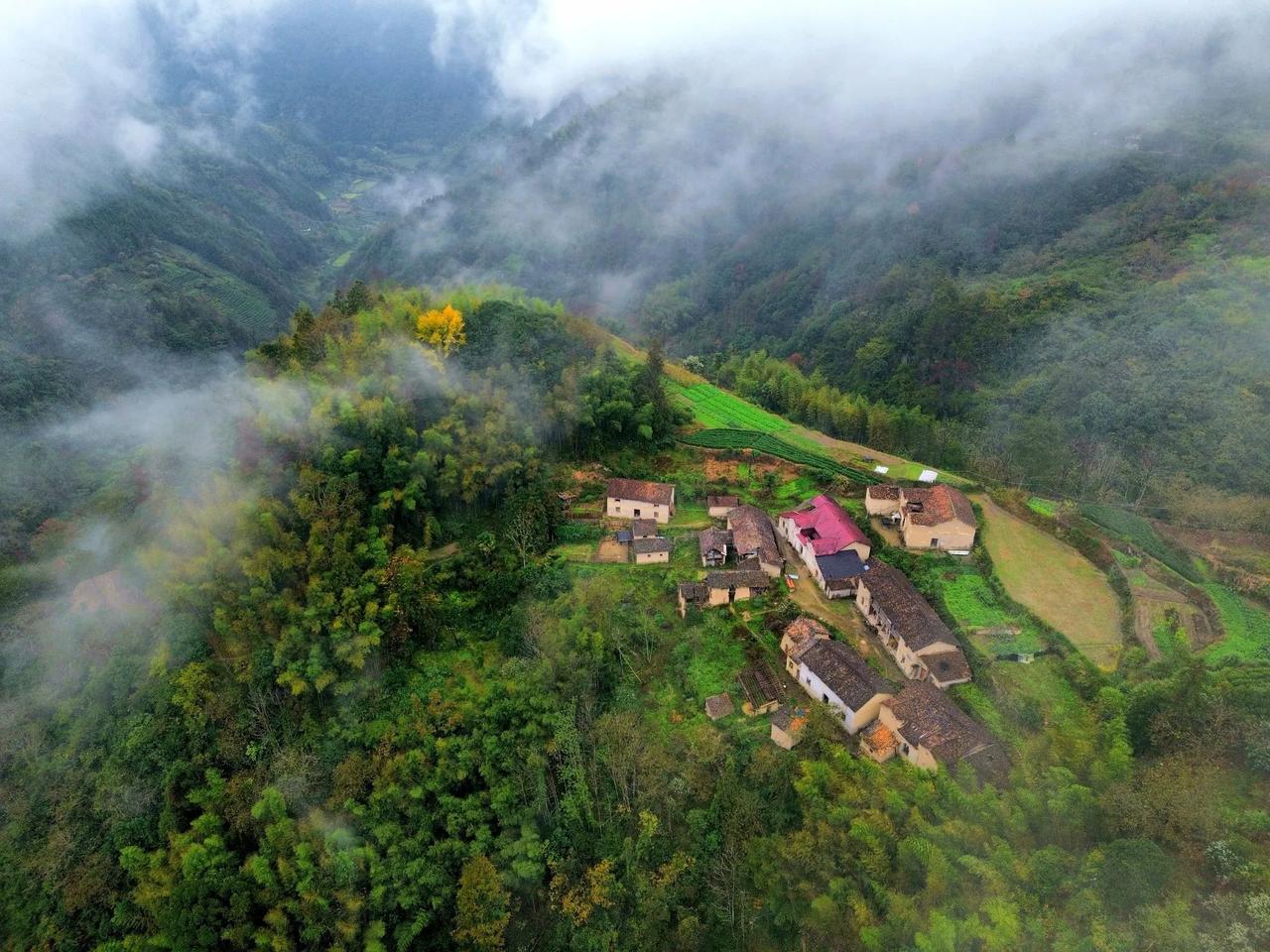 大溪口乡溪口村塘岗自然村，因远离公路，需徒步穿越崎岖山路，所有物资依赖人力搬运，