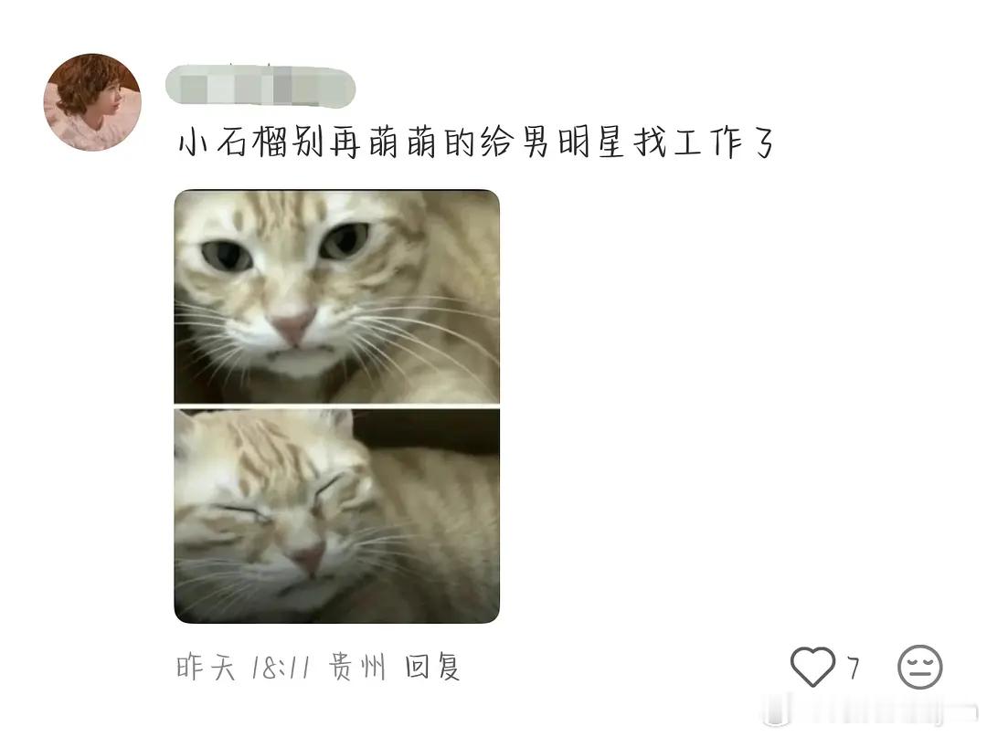 定女求男之我欲乘风到底会花落谁家？🐟丝急死了没有男主愿意演