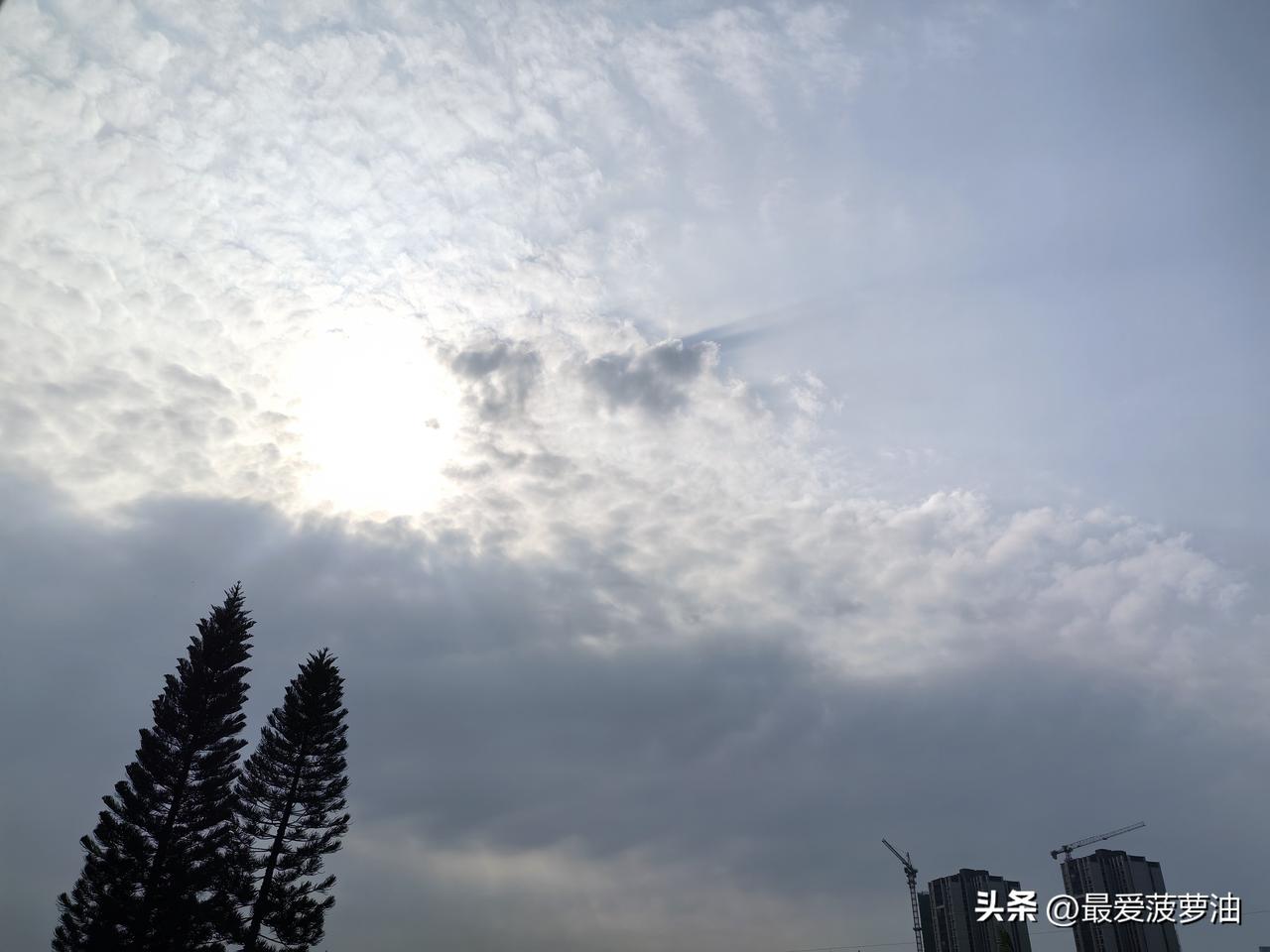 三台风共舞！第15号台风“灿鸿”生成！广东高温与雷雨在玩接力赛！

今年第13号