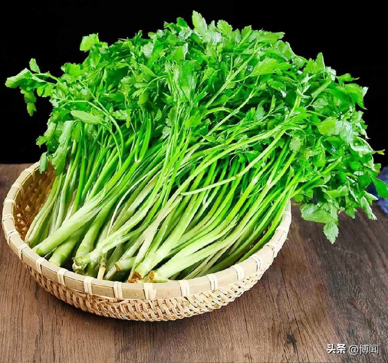 每次料理芹菜，你是否习惯性地掰下叶子，随手扔进垃圾桶？如果你这样做，那么你丢掉的