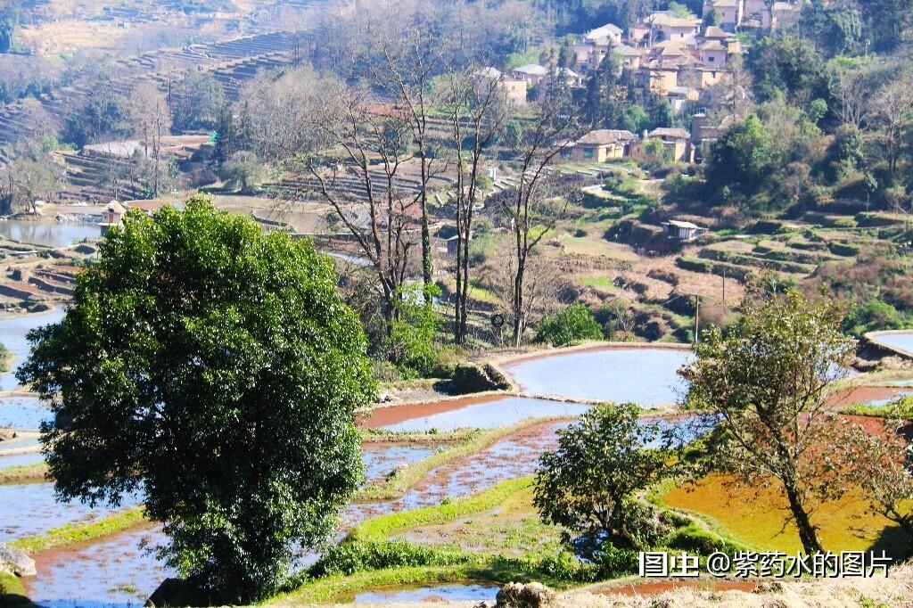 旅行合肥旅行拍照风光