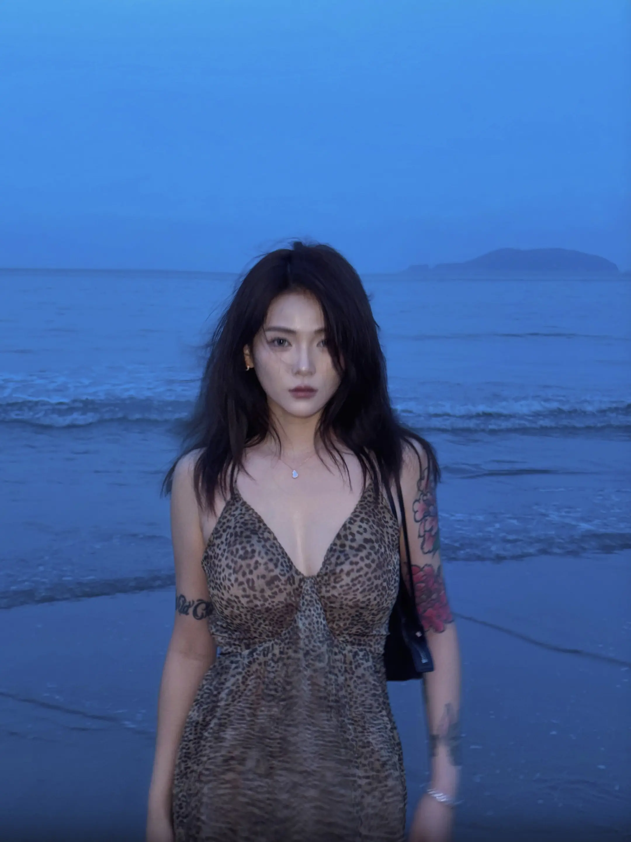 上岸了就别想海里的事