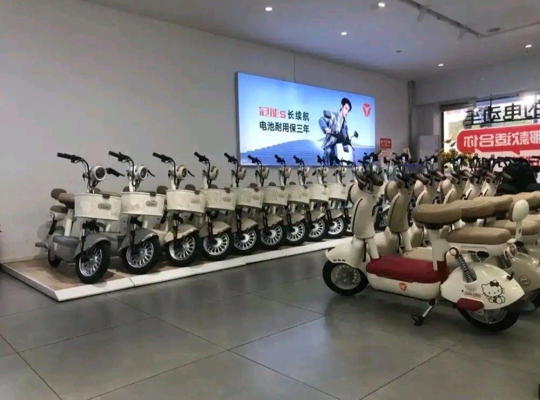 老家里四口人，三辆电动车，两辆非标，一辆国标。

两辆非标也都好骑，为了安全出行