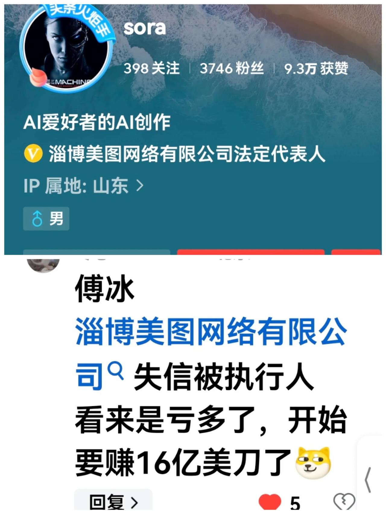 今天看到有个网名叫“淄博美图网络有限公司法定代表人”的网民，在网上发了很多和国家