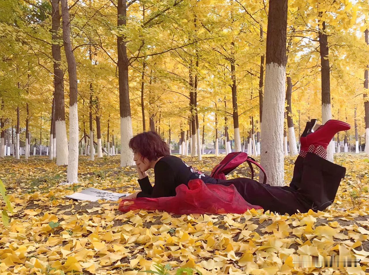 #分享随手拍金黄色树叶#
秋末冬初如诗如画的银杏叶，微风中翩翩起舞，像极了舞动着