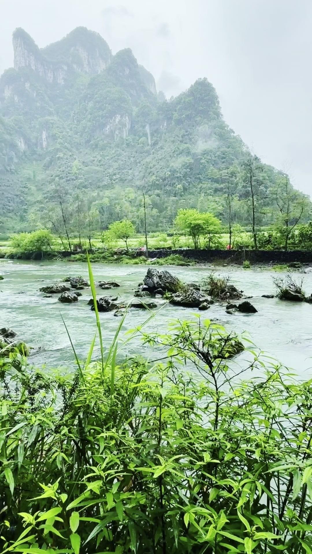 🌿谁能想到山旮旯里藏着这么绝的风景！溪水潺潺，绿树成荫，空气里都是清新的味道，