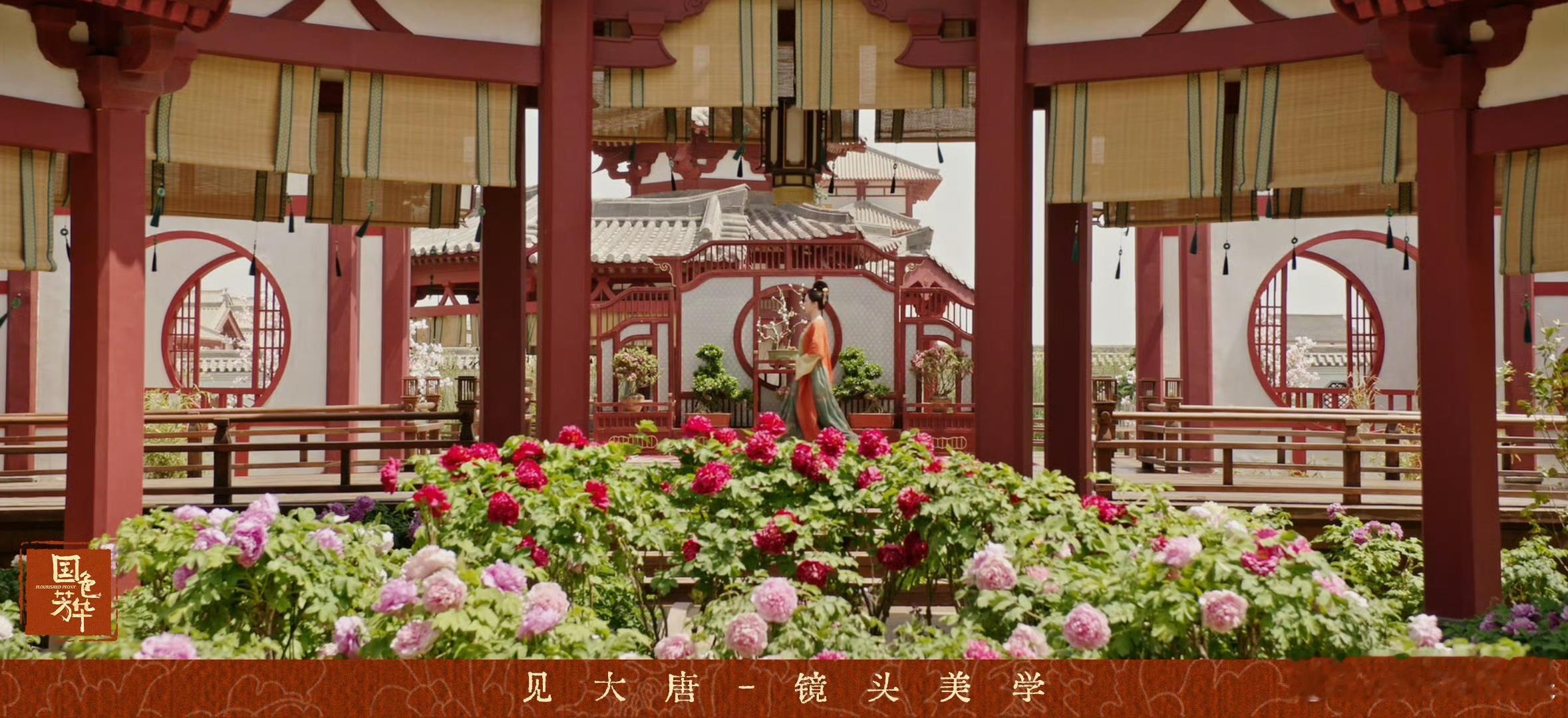 国色芳华带动牡丹经济  国色芳华  给牡丹花农带来泼天流量，牡丹花卖爆了！据悉山