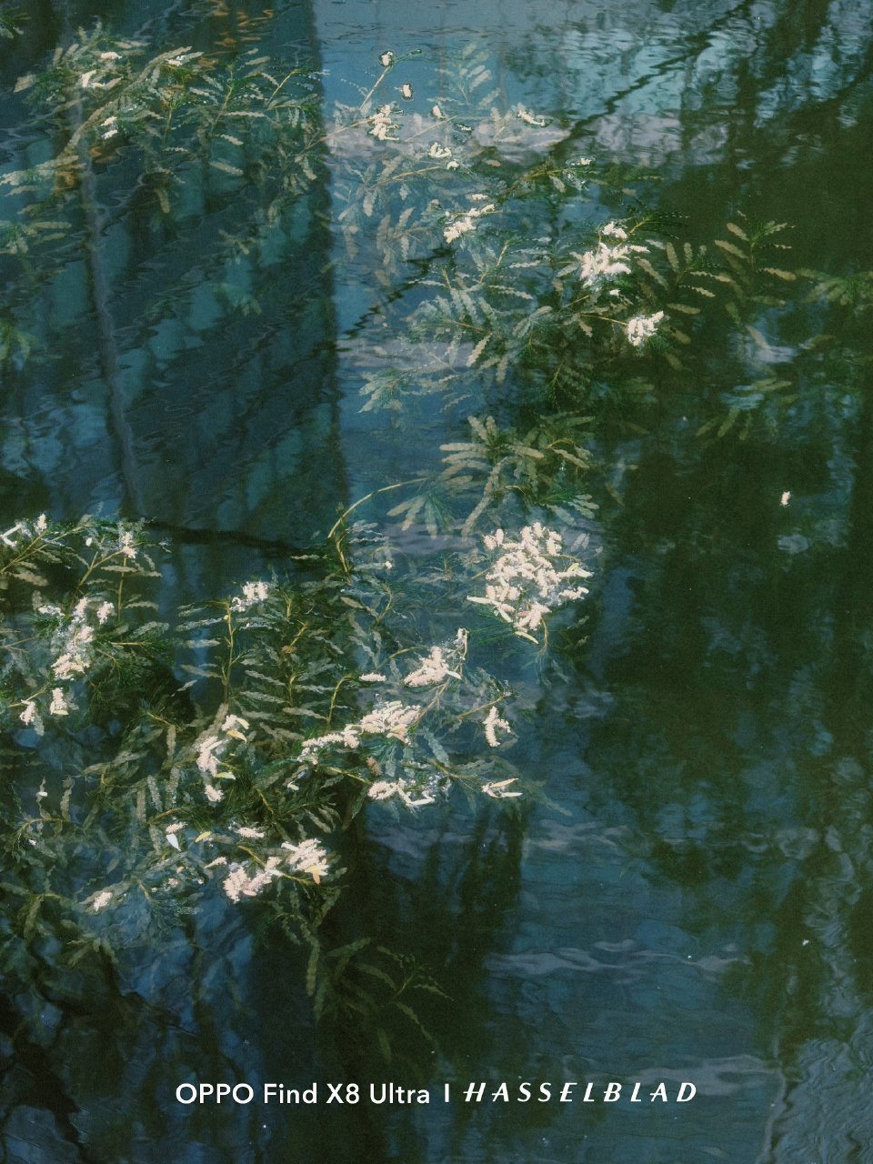李现一江春水向东流李现拍的一江春水好有油画感李现一江春水向东流，好好看，[爱慕]