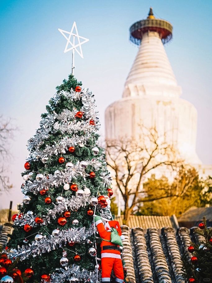 持续更新丨12月目标，集齐京城所有圣诞树🎄