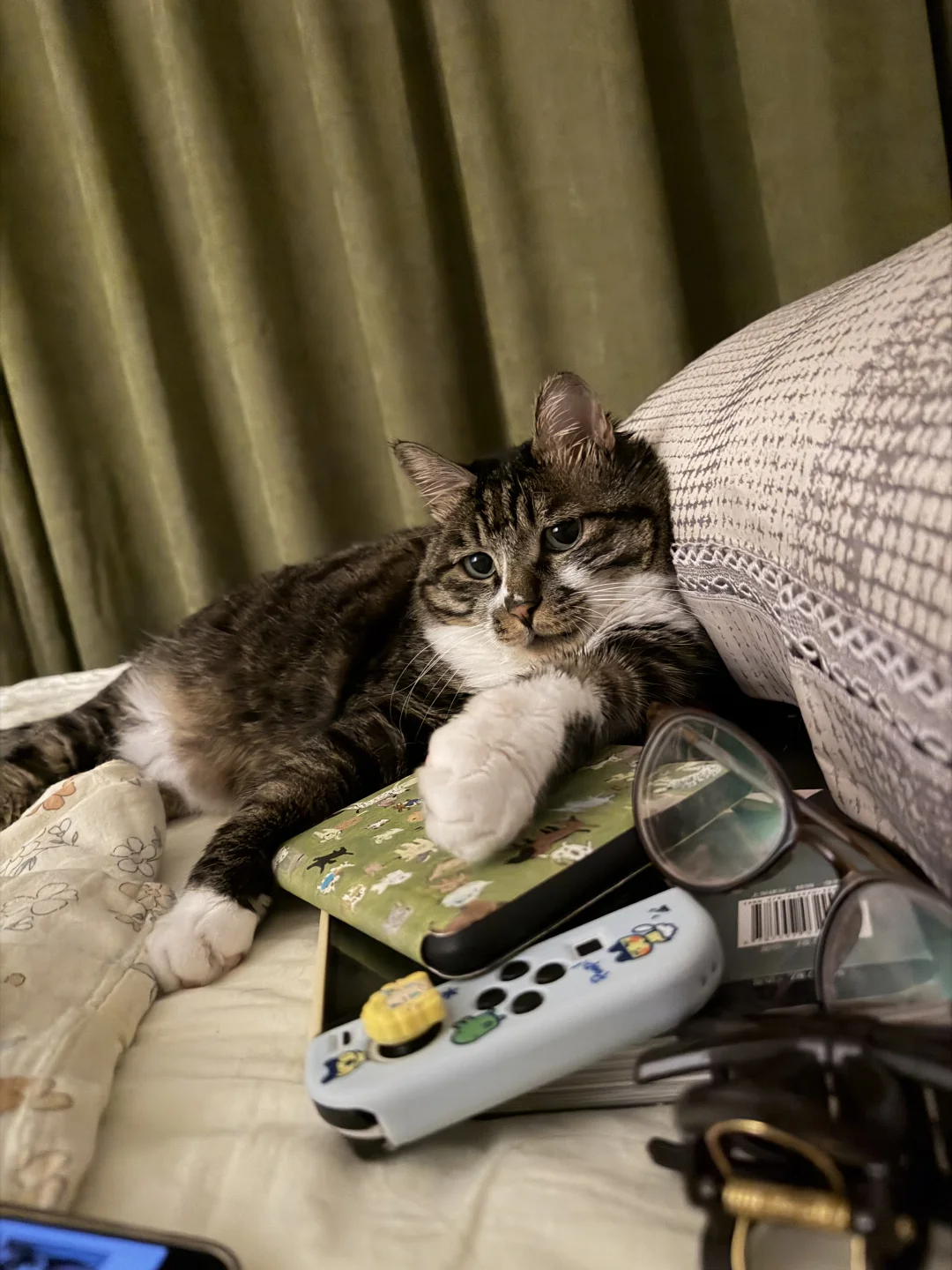 怪我床太乱 让你受委屈了