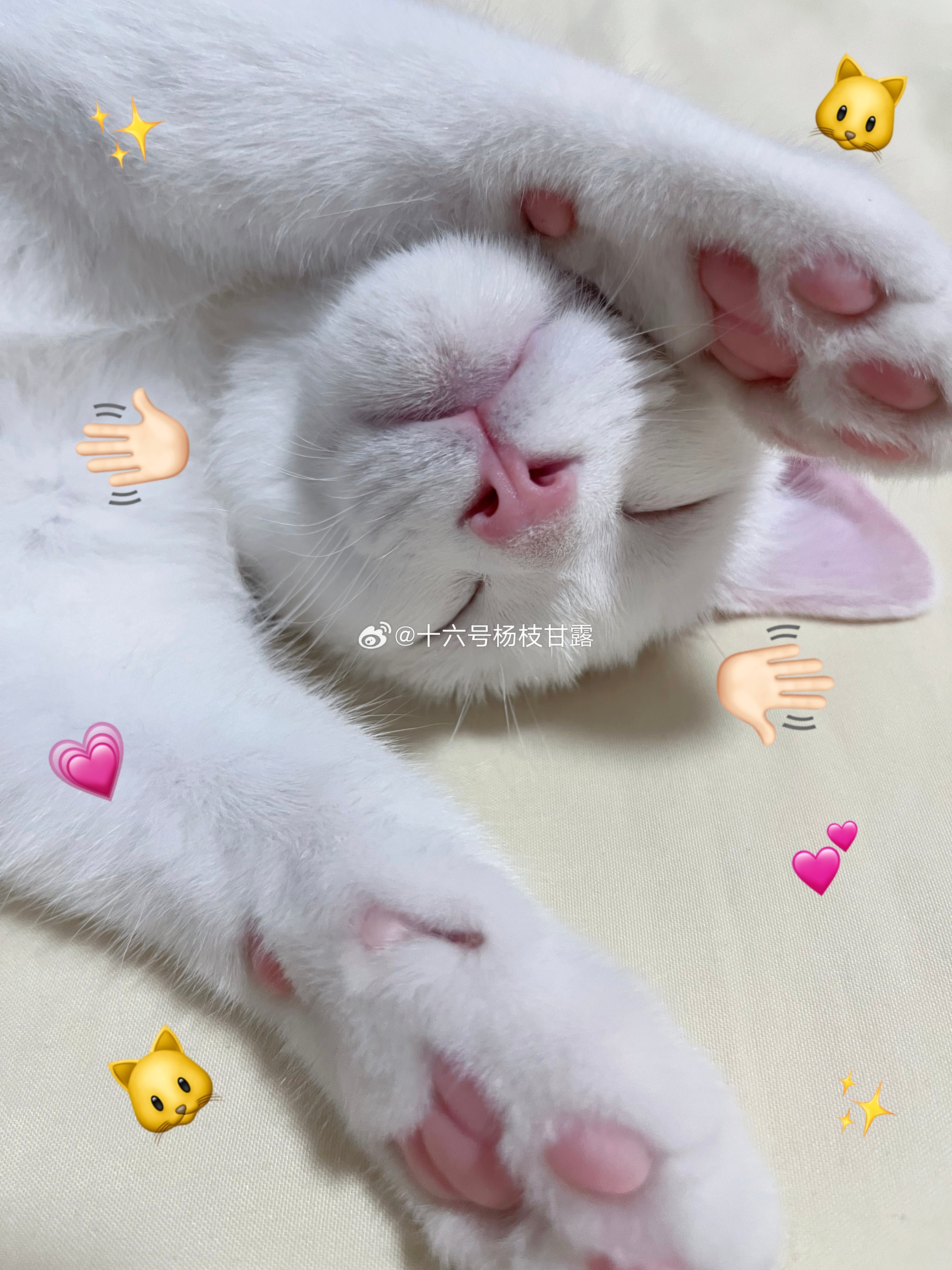 这家伙睡的，妙脆角都睡少了一只。 ​​​