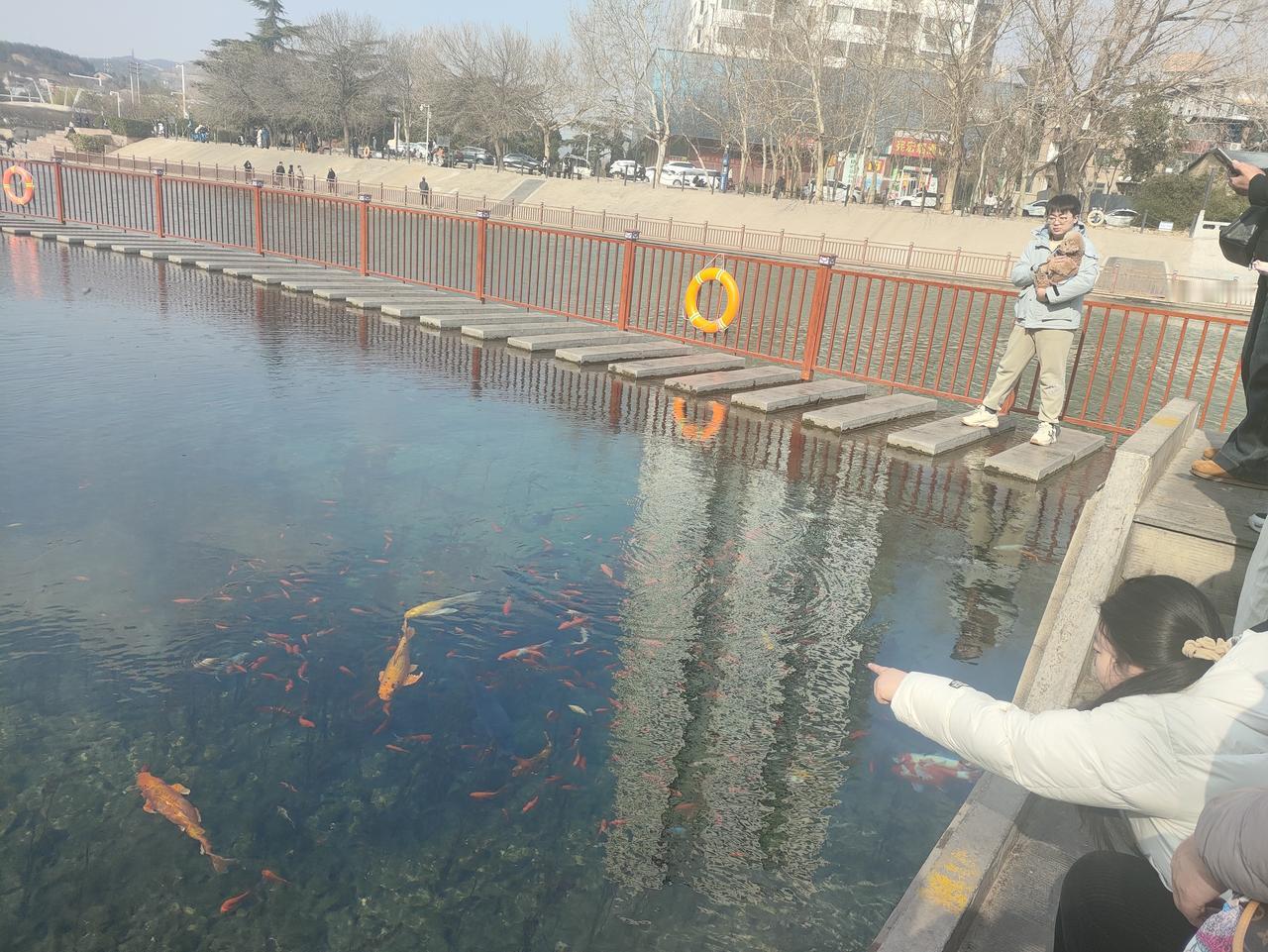 天南地北大拜年