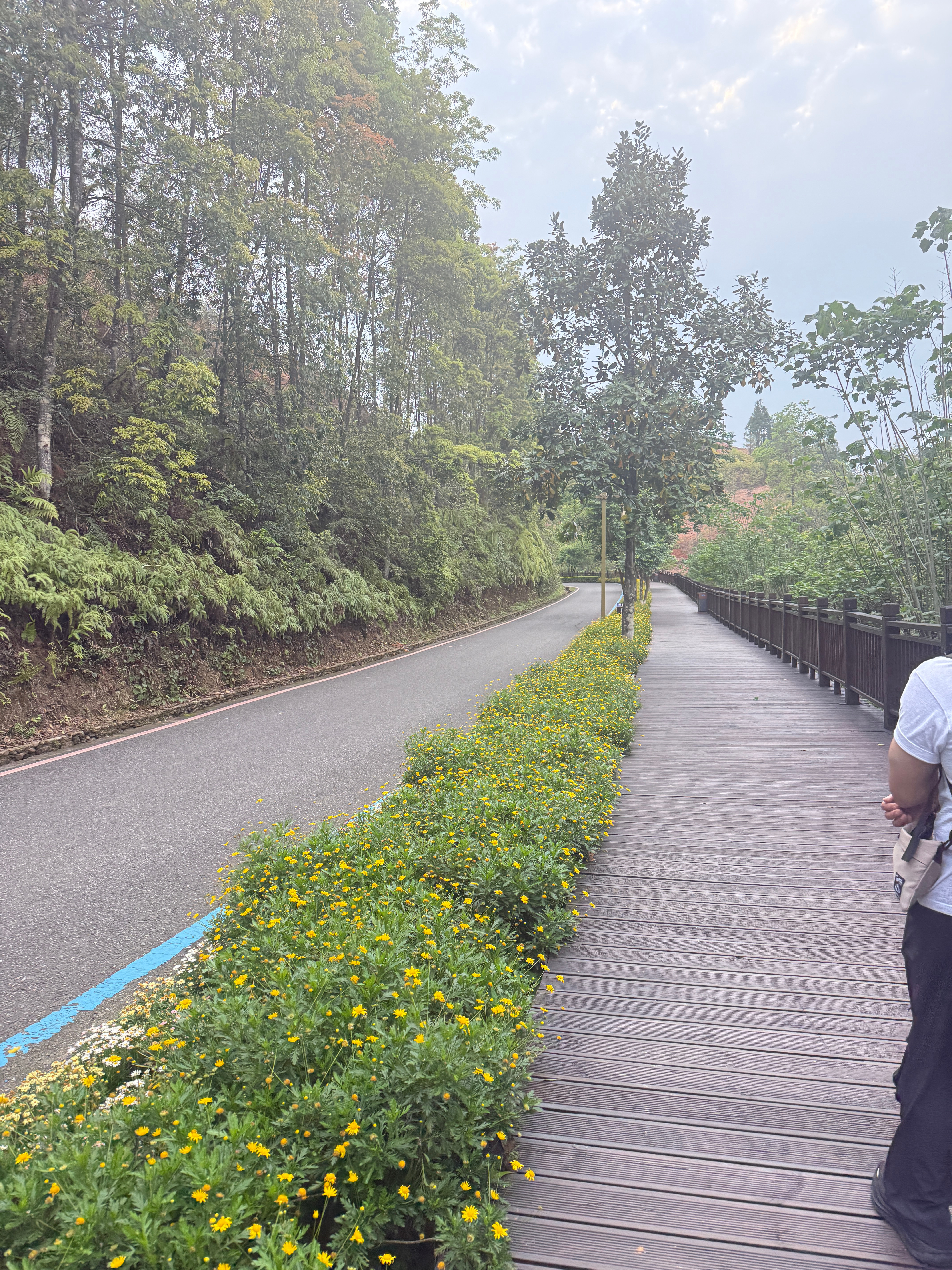 下山的路简直是无穷无尽，我如果躺在地上往下滚会不会省力一些？脚真的快要断了 