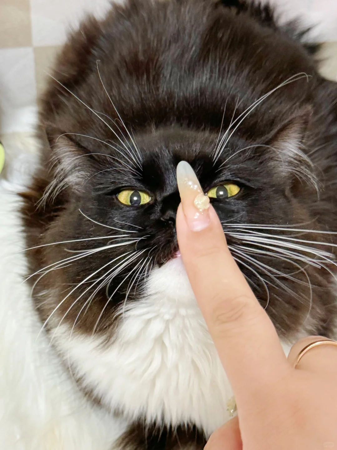 慈母多胖咪！这话一点没说错！