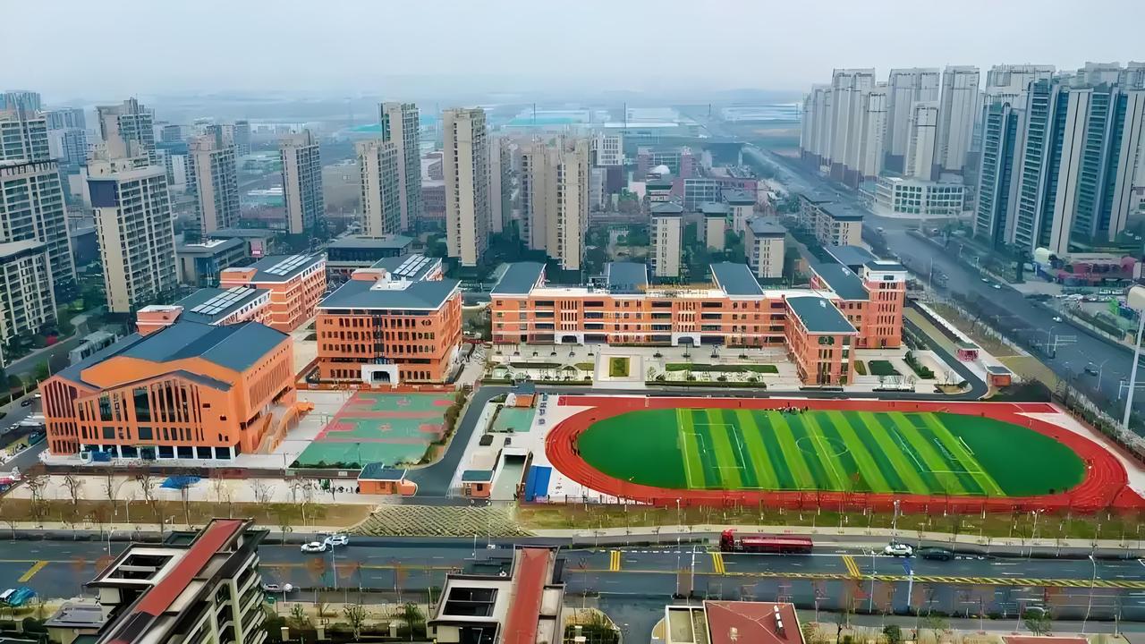 合肥三县（肥西/肥东/长丰），到底哪个的教育资源最强？2026年最新名校布局、中