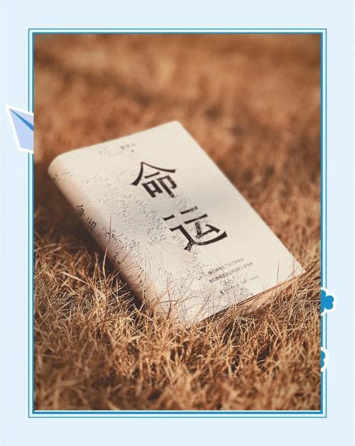命运
给你最大的启发是什么？

命运这玩意儿，最擅长的就是出其不意。

它给你一