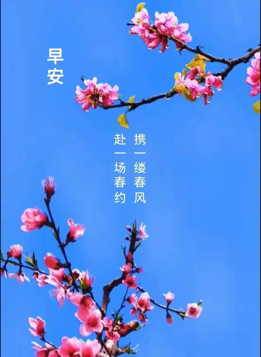 老鸡汤，美味否。。。

小时候的记忆，家乡的老母鸡汤，还是很美味的。。。
如今，