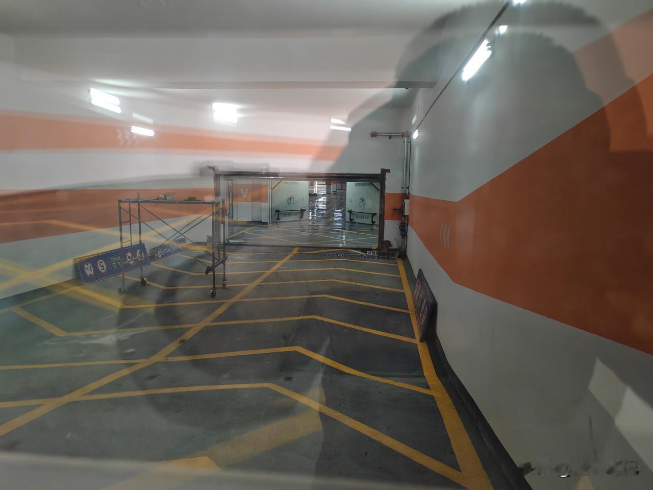 今年冬奥你最期待哪个项目？我觉得速度滑冰更精彩