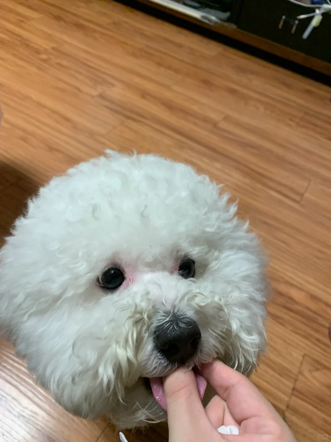 不行了太可爱了😩