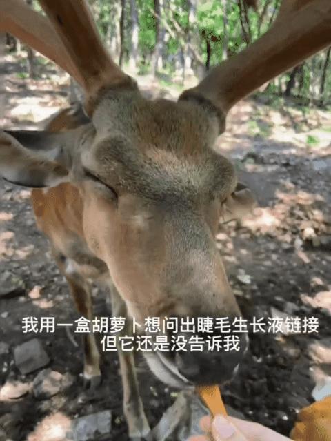 王添艺dy：我并不是一个善于捕捉光影的人 相册里的碎片也算不上丰盛 和今年的自己