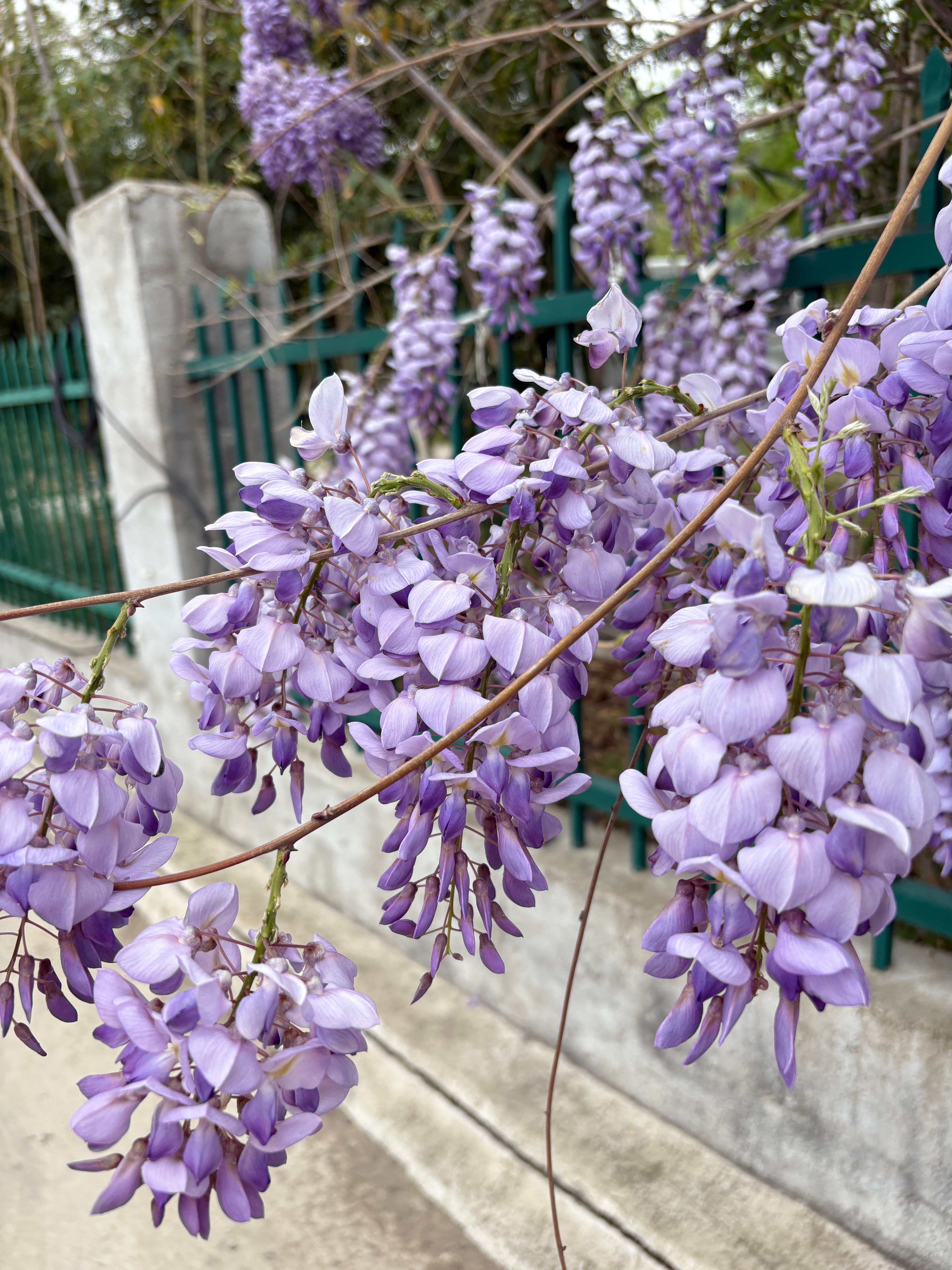 colorwalk超出片的交换城市春光春日ColorWalk玩法太治愈啦，懂色彩