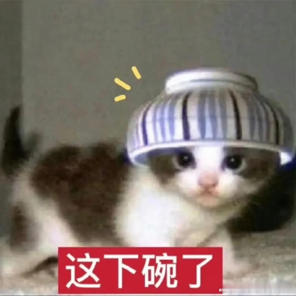 时代峰峻也逃不过Prada魔咒Prada财报浓墨重彩的一笔，top团谁去打的电话