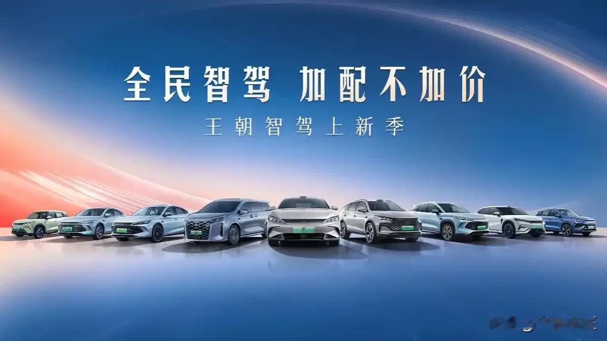 小米使中国的普通民众都能买得起手机，比亚迪则让中国人都有能力购买汽车，不信的话你