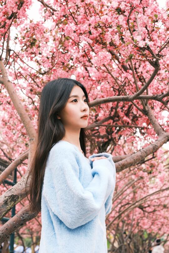 昆明看花🌸