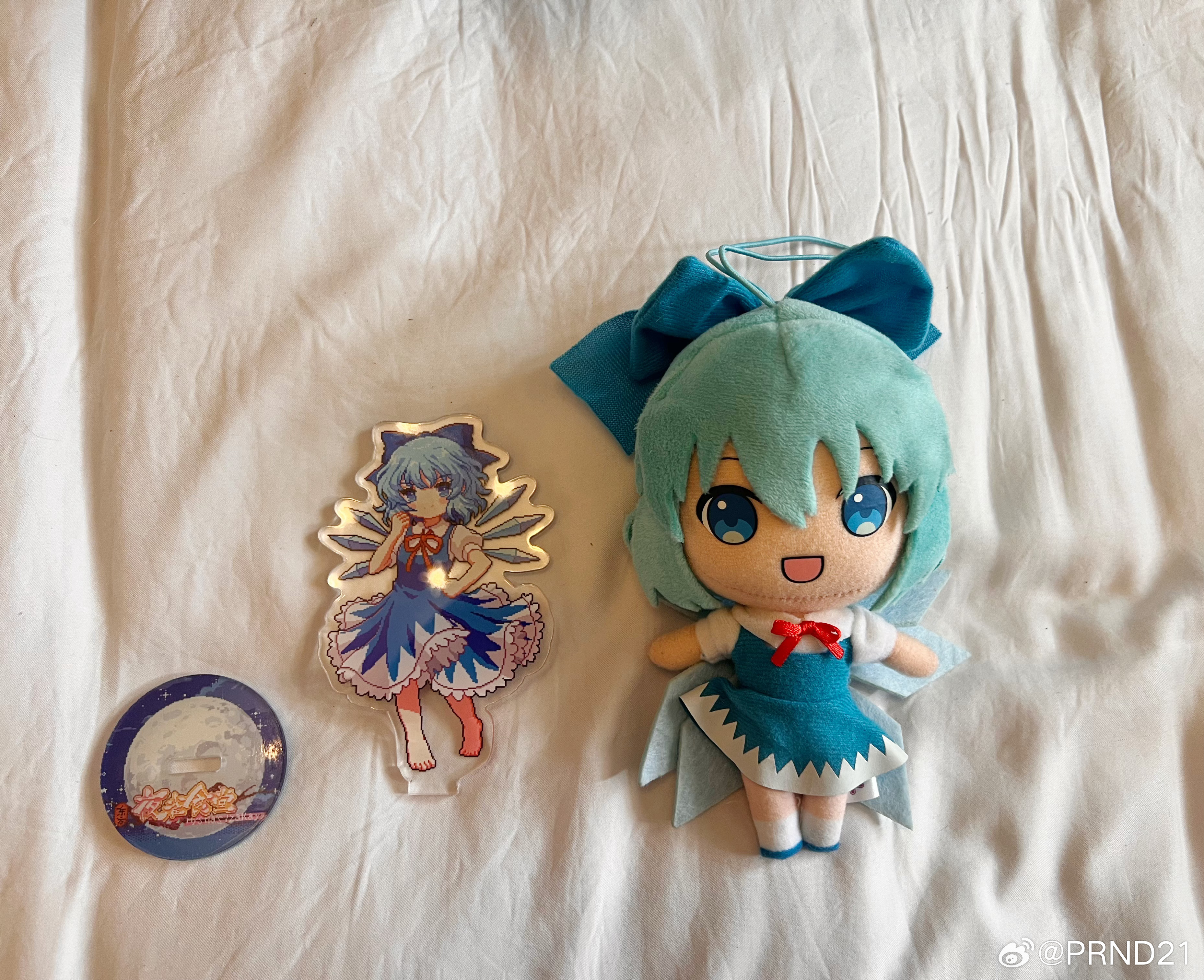 前几天随便参与了一个🐟的小拍卖，竟然买到了很新很可爱的博丽灵梦和琪露诺小挂件！