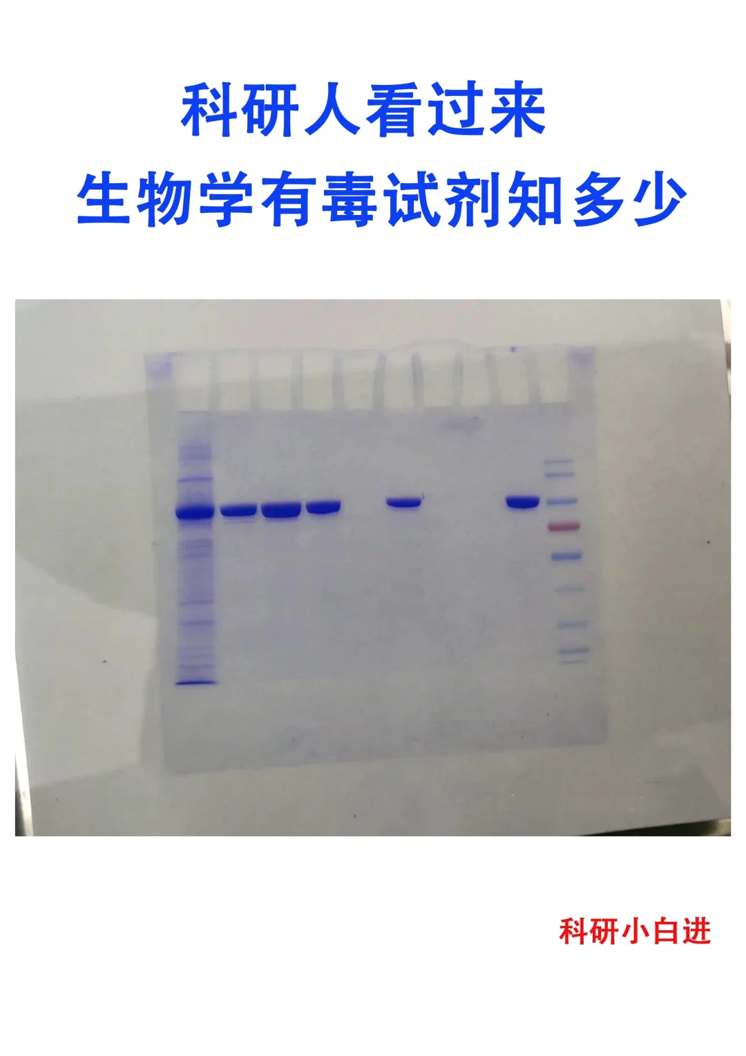 生物学实验有毒试剂之脱发篇